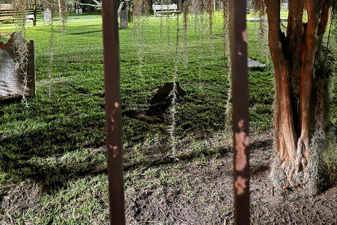 Savannah: Deathly Debutantes wandeltour met gidsSavannah: rondleiding &#039;Deathly Debutantes&#039; met gids