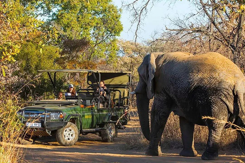 Victoria Falls safari Game Drive