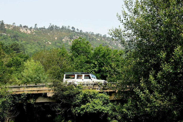 Porto: Tour in montagna 4x4Tour per piccoli gruppi