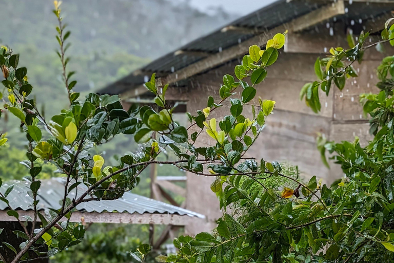 Panamá; San Blas Dos días en la selva todo incluido