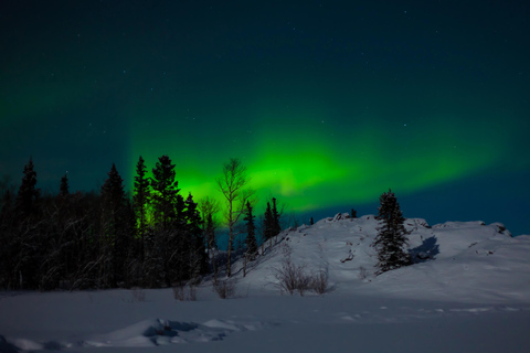 Rovaniemi : une excursion nocturne à la recherche des aurores boréalesRovaniemi : une excursion nocturne à la recherche d&#039;aurores boréales