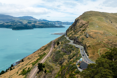 Lyttelton: Stadt-Highlights &amp; Avon PuntingChristchurch: City Highlights Tour with Avon River Punting