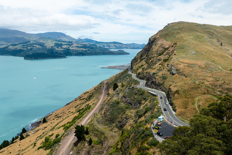 Lyttelton: Stadt-Highlights &amp; Avon PuntingChristchurch: City Highlights Tour with Avon River Punting