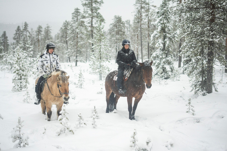 Rovaniemi: Horseback Ride & Lappish Lunch at Ranch