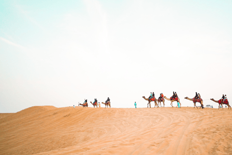 Safári privado no deserto, moto ATV, passeio de camelo e sandboardSafári no deserto | Passeio de camelo | Manobras radicais nas dunas | Sem quadriciclo