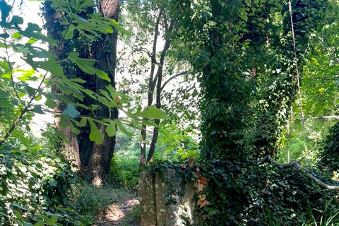 Provence: 2-hour Western horseback riding tour, refreshing break in the river Provence: 2-Hour Western Horseback Riding Tour, Refreshing Break in the River