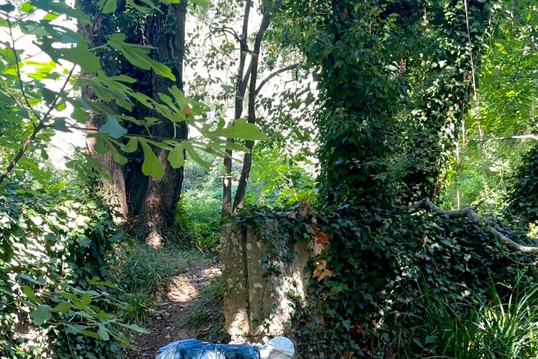 Provence: 2-hour Western horseback riding tour, refreshing break in the river Provence: 2-Hour Western Horseback Riding Tour, Refreshing Break in the River