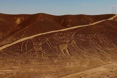 Nazca: Ground Guided Sightseeing Tour of the Nazca and Palpa Lines Nazca: Guided Ground Tour of the Nazca and Palpa Lines