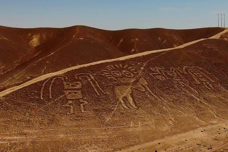 From Nazca: Nazca and Palpa Lines Flight with Transfer Included From Nazca: Flight Over the Nazca Lines and Palpa with Transfer Included