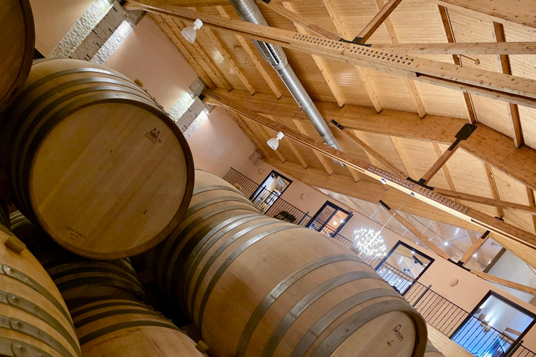 From Madrid to Castilla & León: Hidden Vineyards and Towns