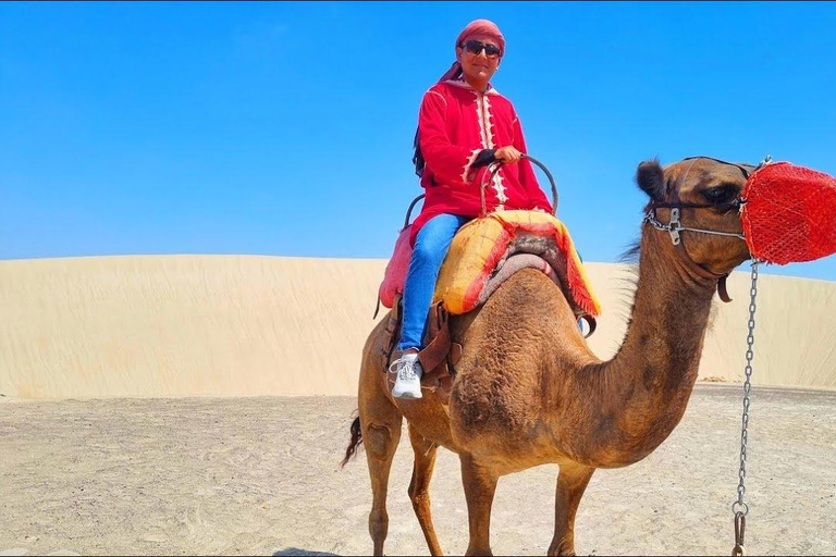 Peru: Camel Ride and Wine Tasting in the Desert