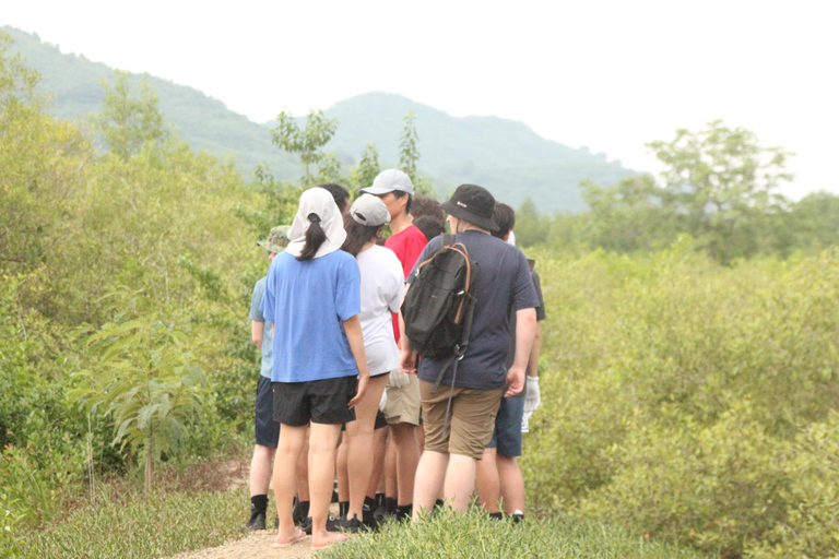 Bagek Kembar: Mangrove & Stingless Beekeeping Experience