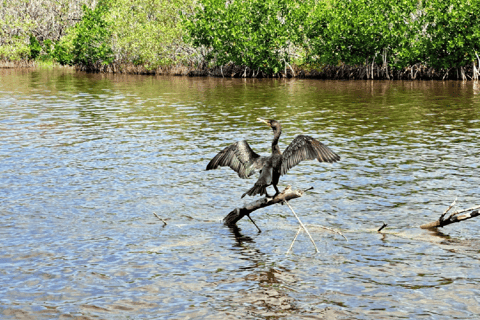 Rio Lagartos: splendide acque rosa e giro in barcaPiccolo gruppo