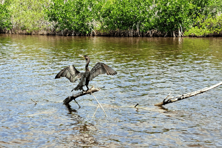 Rio Lagartos: splendide acque rosa e giro in barcaPiccolo gruppo