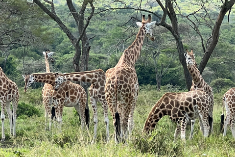 Lake Mburo National Park: 2 Day Wildlife Tour from Kampala