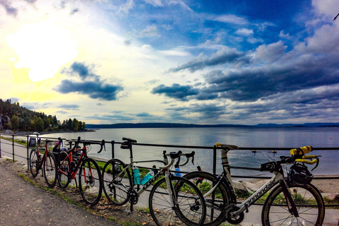 BICICLETTA OSLO FINO A 8 PARTECIPANTITOUR PRIVATO