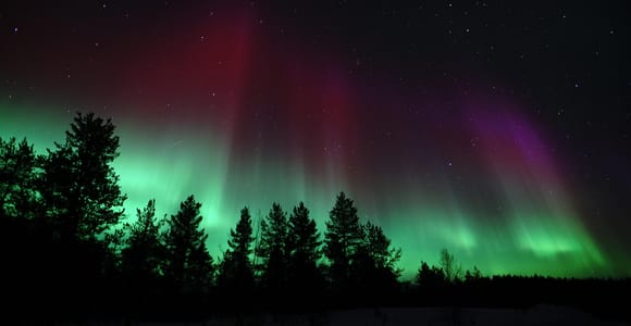 Saariselkä: Aurora Photo Tour by Car with Transfer & Drinks