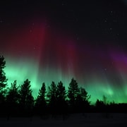Saariselkä: Aurora Fototour mit dem Auto mit Transfer & Getränken