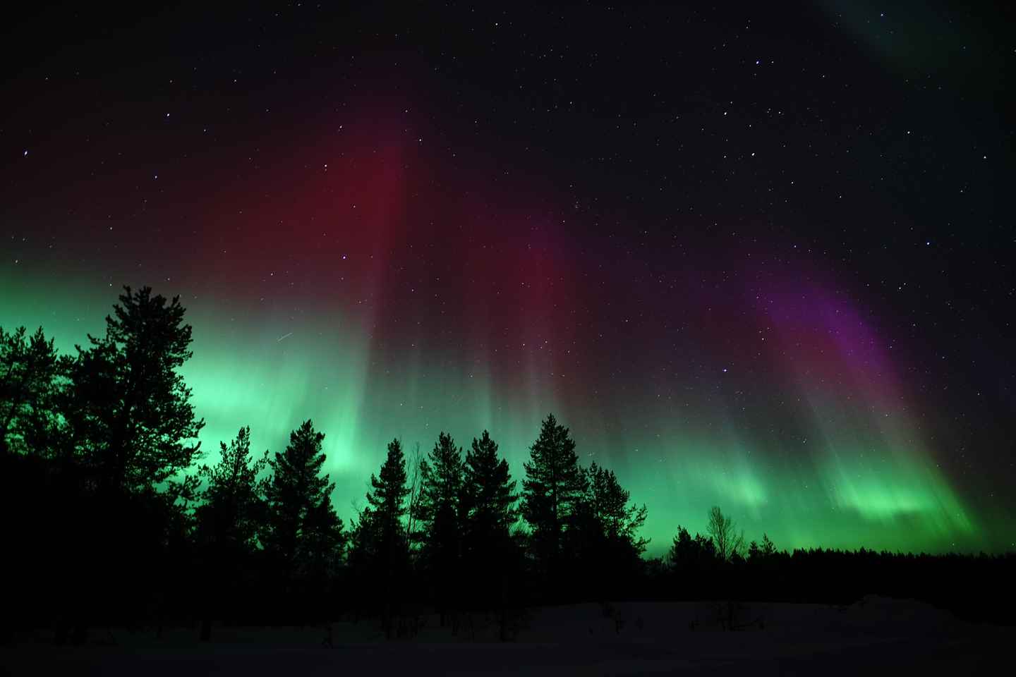 Saariselk: Aurora Photo Tour by Car with Transfer & Drinks - Saariselkä: Aurora Photo Tour by Car with Transfer & Drinks