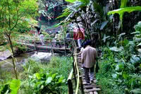 Chiang Mai, Doi Inthanon, Waterfalls e Tribal Villages Tour - Housity