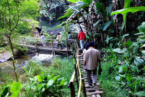 Chiang Mai: wycieczka do Doi Inthanon, wodospadów i wiosek plemiennych