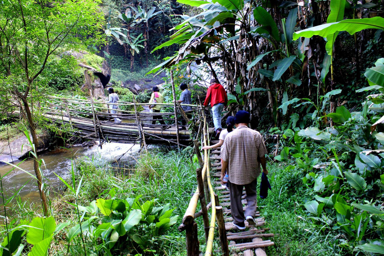 Chiang Mai: Excursión a Doi Inthanon, Cascadas y Aldeas Tribales