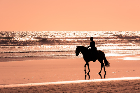 Horse Riding in Port City