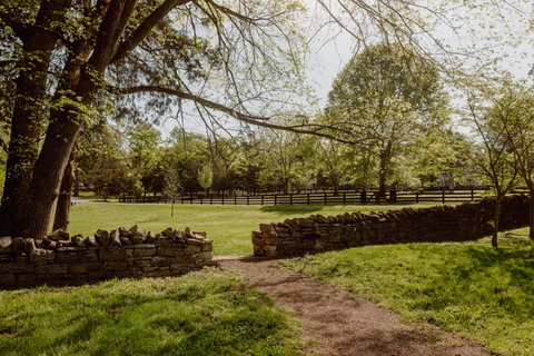 Nashville: Tour de la Guerra Civil en la Batalla de Belle Meade