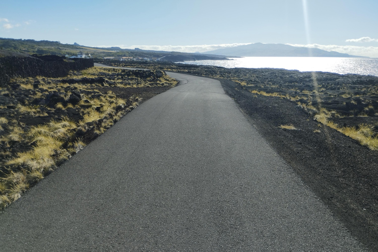 Pico Grand Tour: Volcanoes, UNESCO Vineyards & Local Culture