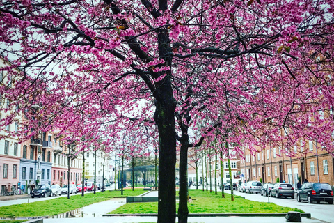 Copenhagen: Politically Incorrect Beer Tasting Walking Tour