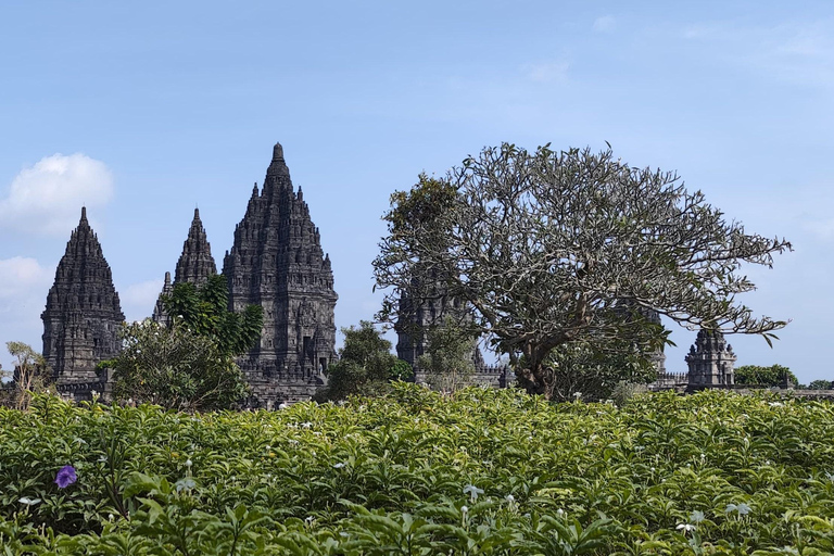 Borobudur-Prambanan Temples and Merapi Volcano Jeep Tour