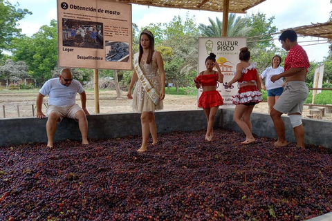 Da Ica o Huacachina: Tour al vigneto Tacama e alla cantina artigianale.