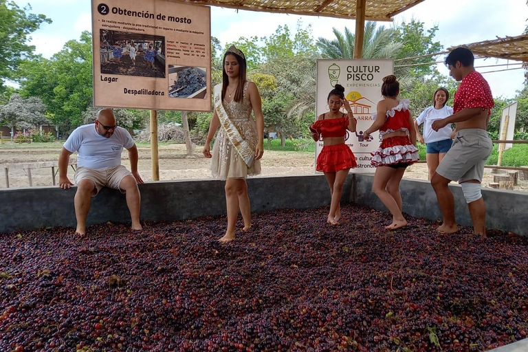 Depuis Ica ou Huacachina : visite du vignoble et de la cave artisanale de Tacama.