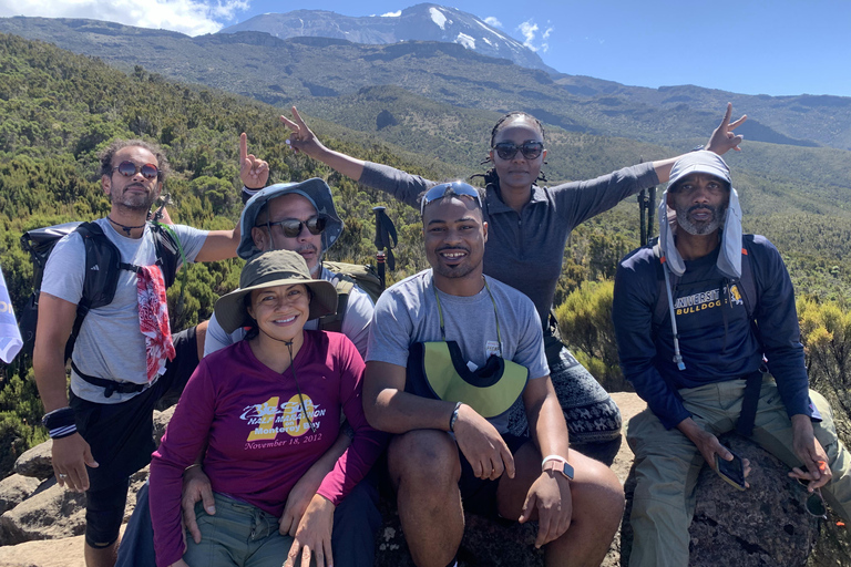 Kilimanjaro: 2-Day Shira Plateau and Peak Trek with Camp