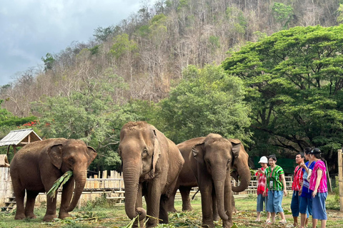 Chiang Mai Adventure: Rafting, ATV & Elephants Experience. Bamboo rafting (4km.) & 1 hrs. ATV.