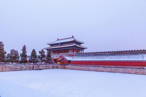 Beijing: Forbidden City & Panda Zoo Private Tour Beijing Panda Zoo （only ticket，not tour）