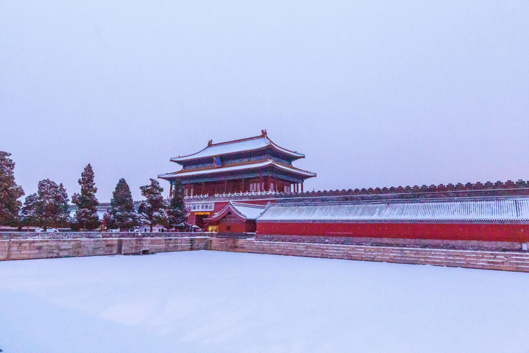 Beijing: Forbidden City & Panda Zoo Private Tour Beijing Panda Zoo （only ticket，not tour）