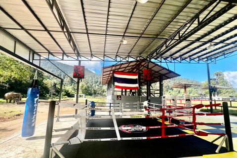 Chiangmai: Basic Muay Thai Experience with Training Session