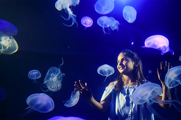 Mallorca: toegangsticket voor het Palma Aquarium met 3D-bioscoop