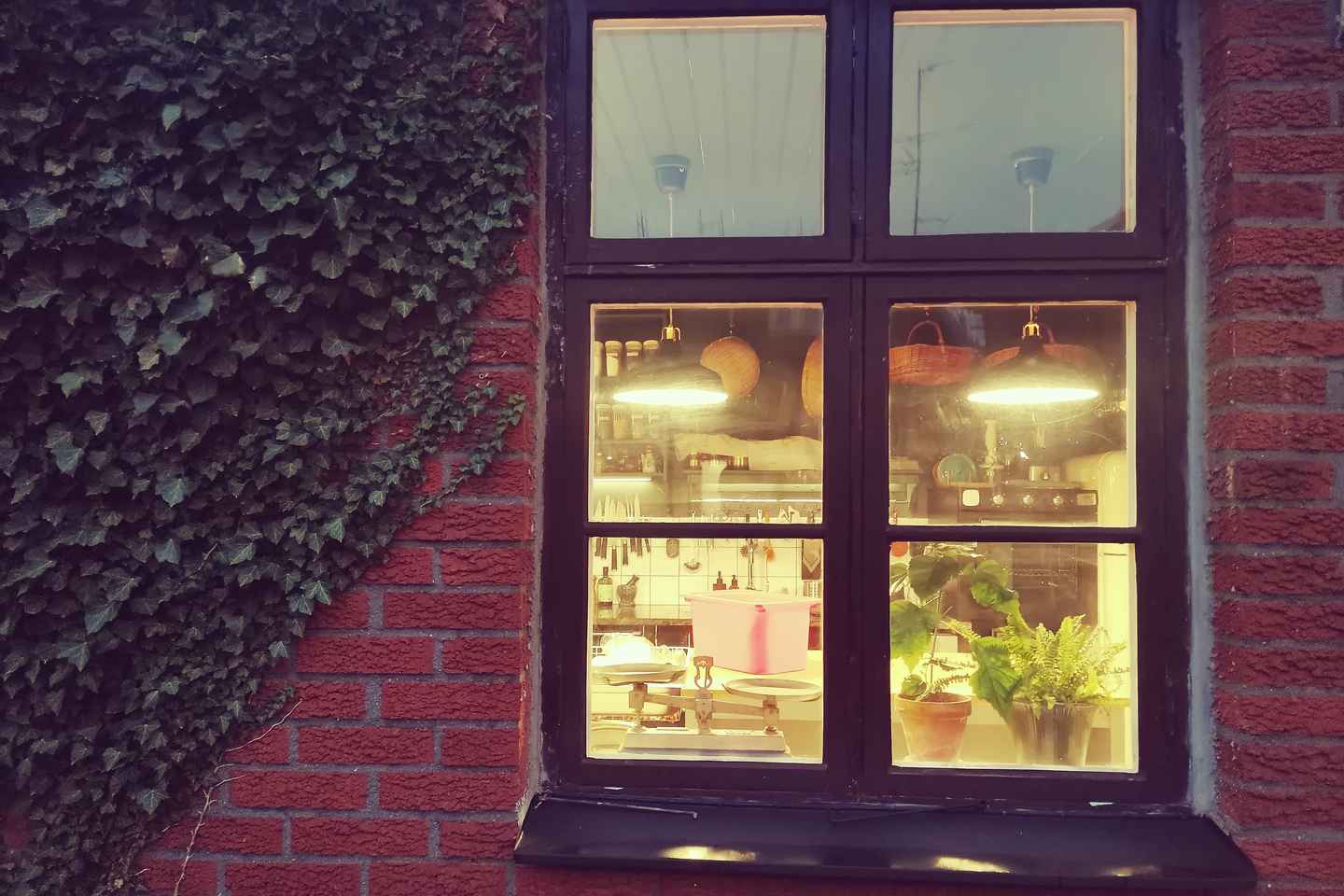 Malmö: Korean Dumplings Cooking Class with Chef So-Young