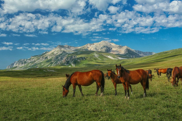 From Tbilisi: Caucasus ..Kazbegi Day Tour Private Car