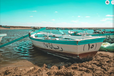 From Cairo: 4x4 Desert Safari, Waterfalls & Magic Lake Shared Tour: Wadi El Rayan, Magic Lake & Lake Qarun, Jeep