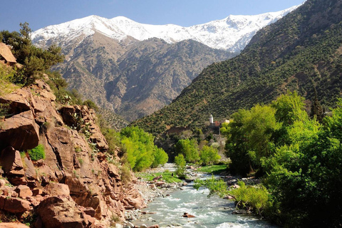 Från Marrakech: Dagsutflykt till Ourikadalen och berberbyarna