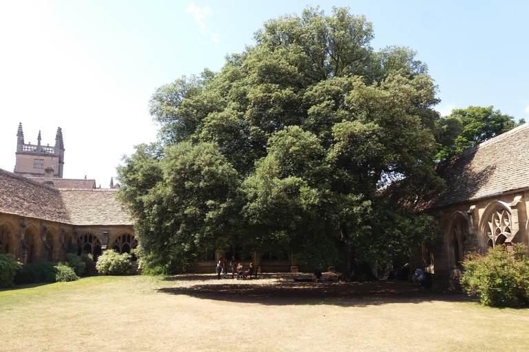 FRENCH Tour particular sob medida Universidade e ou Harry Potter