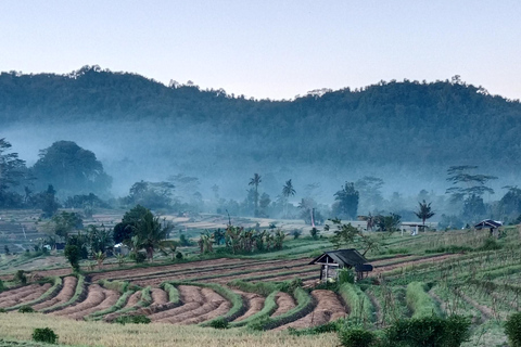 Sidemen rice terraces trek and local village walk sidemen rice terrace, village walk and local market