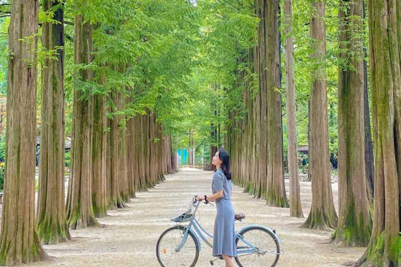 Da Seul: Isola di Nami, Giardino Coreano ed escursione in bicicletta su rotaia