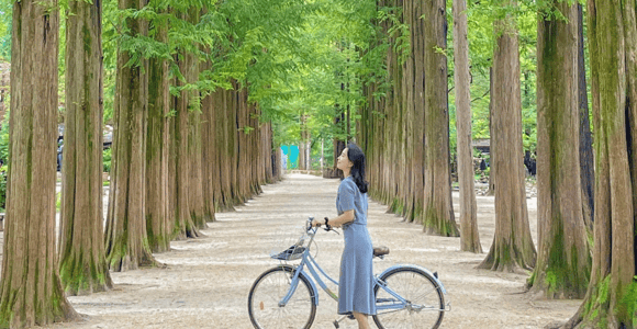 Insel Nami, Garden of Morning Calm und Schienenfahrrad-Tour