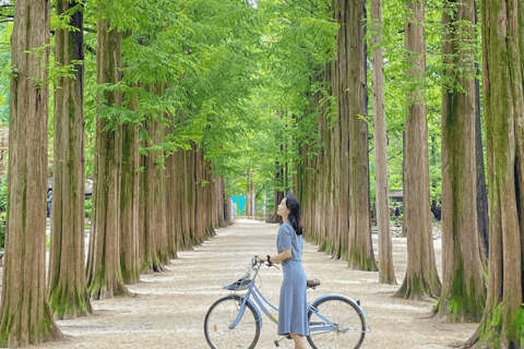 From Seoul: Nami Island, Korean Garden & Rail Bike Day Trip Group Tour w/o Railbike from Dongdaemun (DDP)