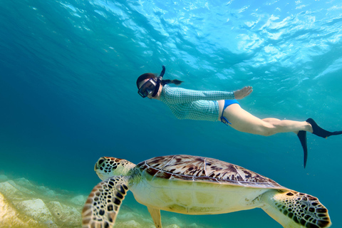 Bali: Gili Islands fast boat Trip with Hotel Pickup Gilis & Lombok to Sidemen Hotel