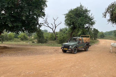 Delhi: 2-Day Ranthambore Safari by Car with Hotel Delhi to Ranthambore Overnight Tour with Safari & 3* Resort